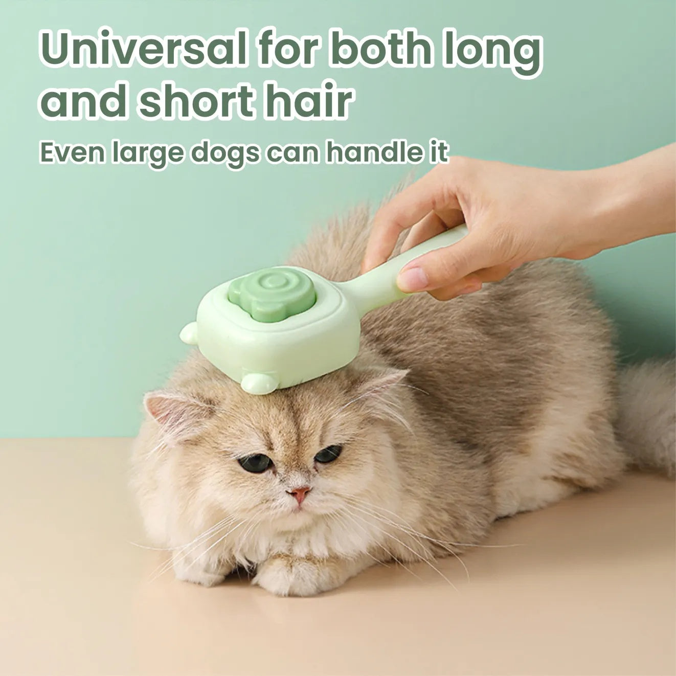 2-in-1 Grooming & Hair Removal
